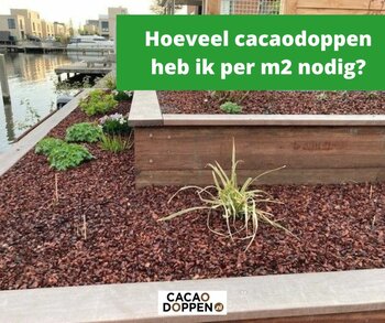 Hoeveel Cacaodoppen Per M Nodig Cacaodoppen Nl